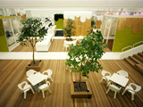 办公室写字楼绿化植物租赁养护、出租布置流程